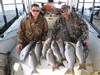 (03/31/2017) - Nice Striped Bass